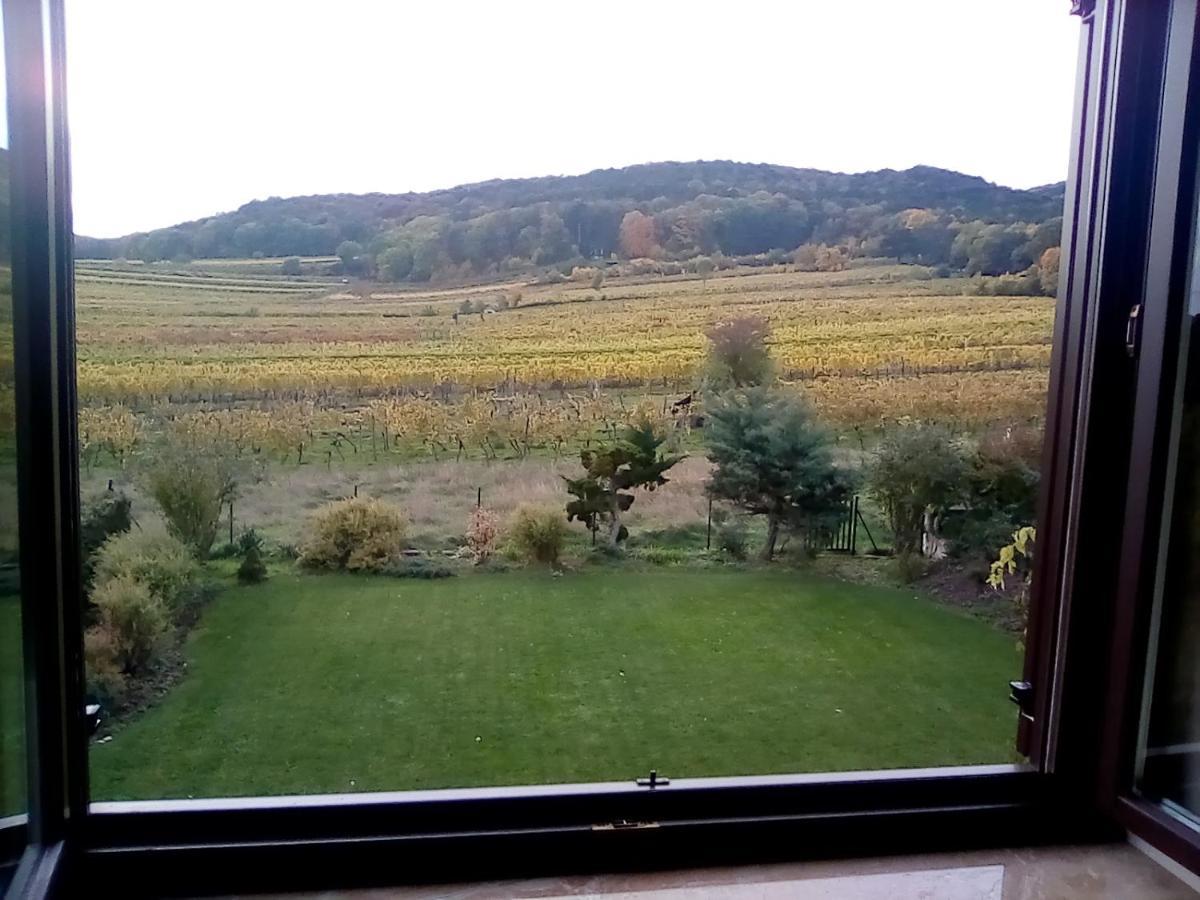 Top Over Vienna, Perchtoldsdorf Weinberge Ideal With Car Appartamento Esterno foto