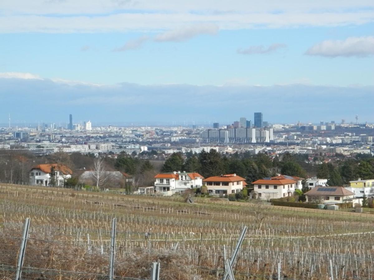 Top Over Vienna, Perchtoldsdorf Weinberge Ideal With Car Appartamento Esterno foto
