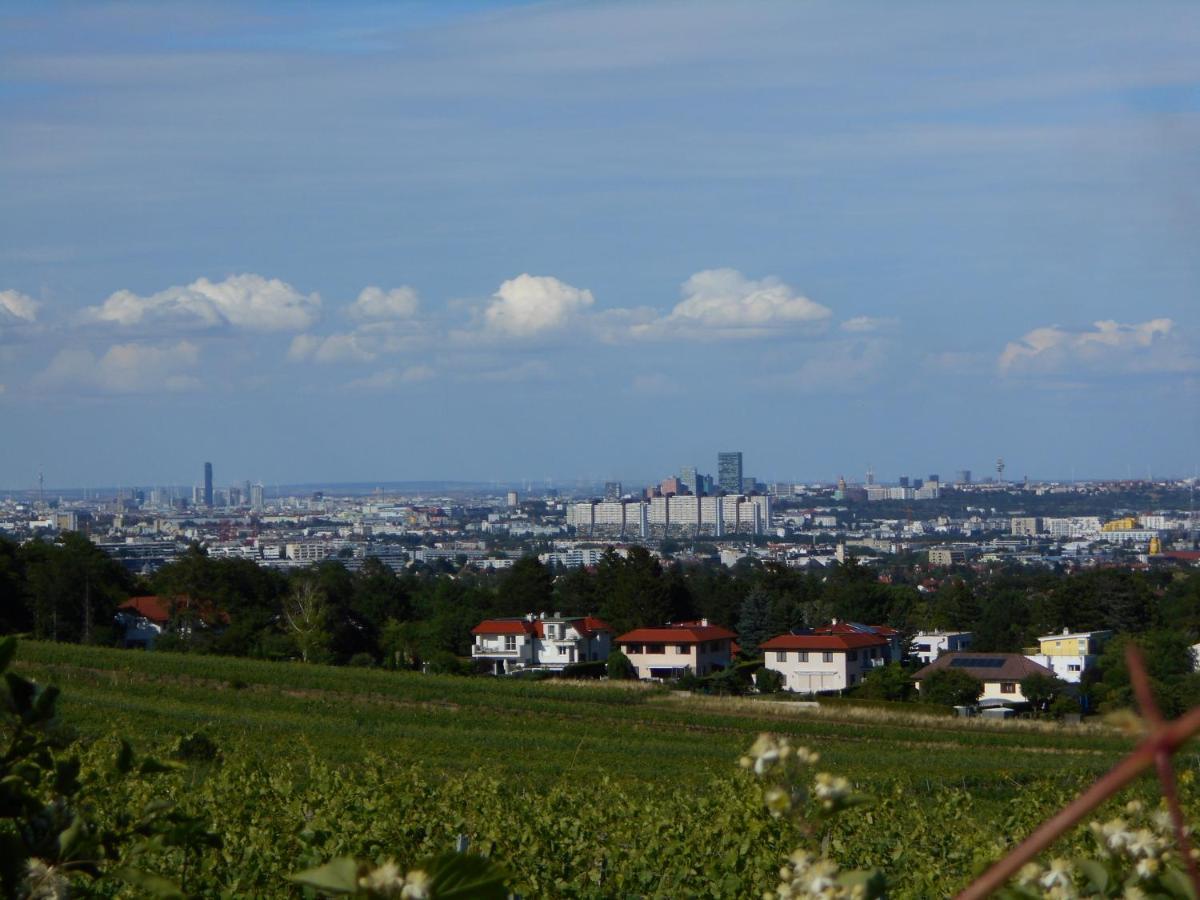 Top Over Vienna, Perchtoldsdorf Weinberge Ideal With Car Appartamento Esterno foto
